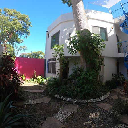 Casa Arbol De Paz Habitacion Doble Chacala  Exterior foto
