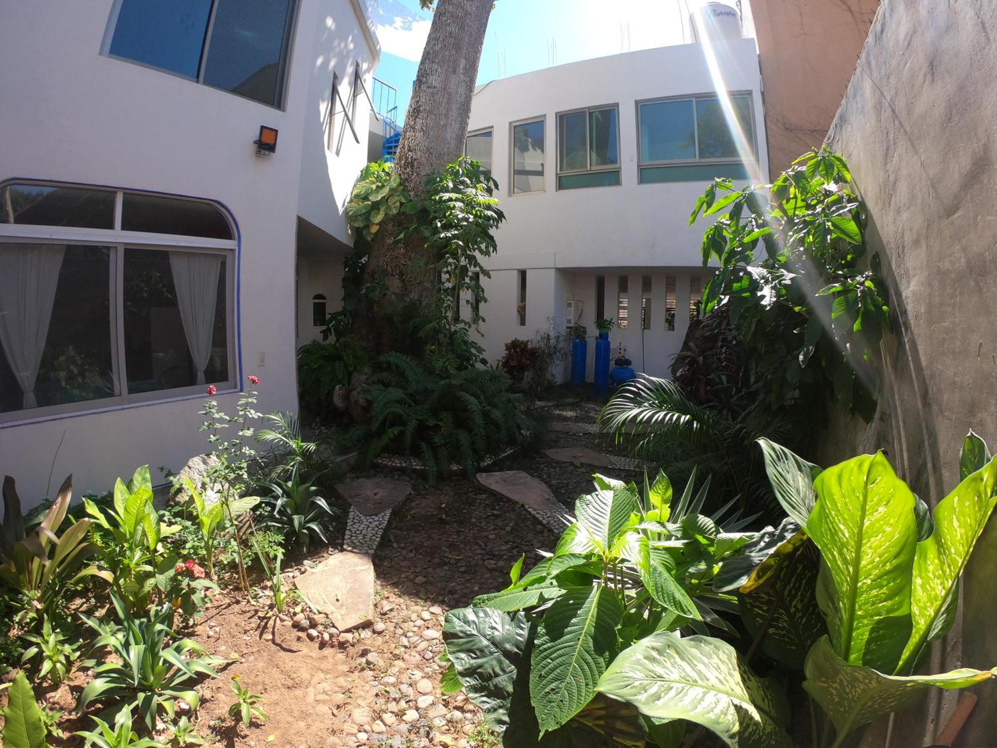 Casa Arbol De Paz Habitacion Doble Chacala  Exterior foto