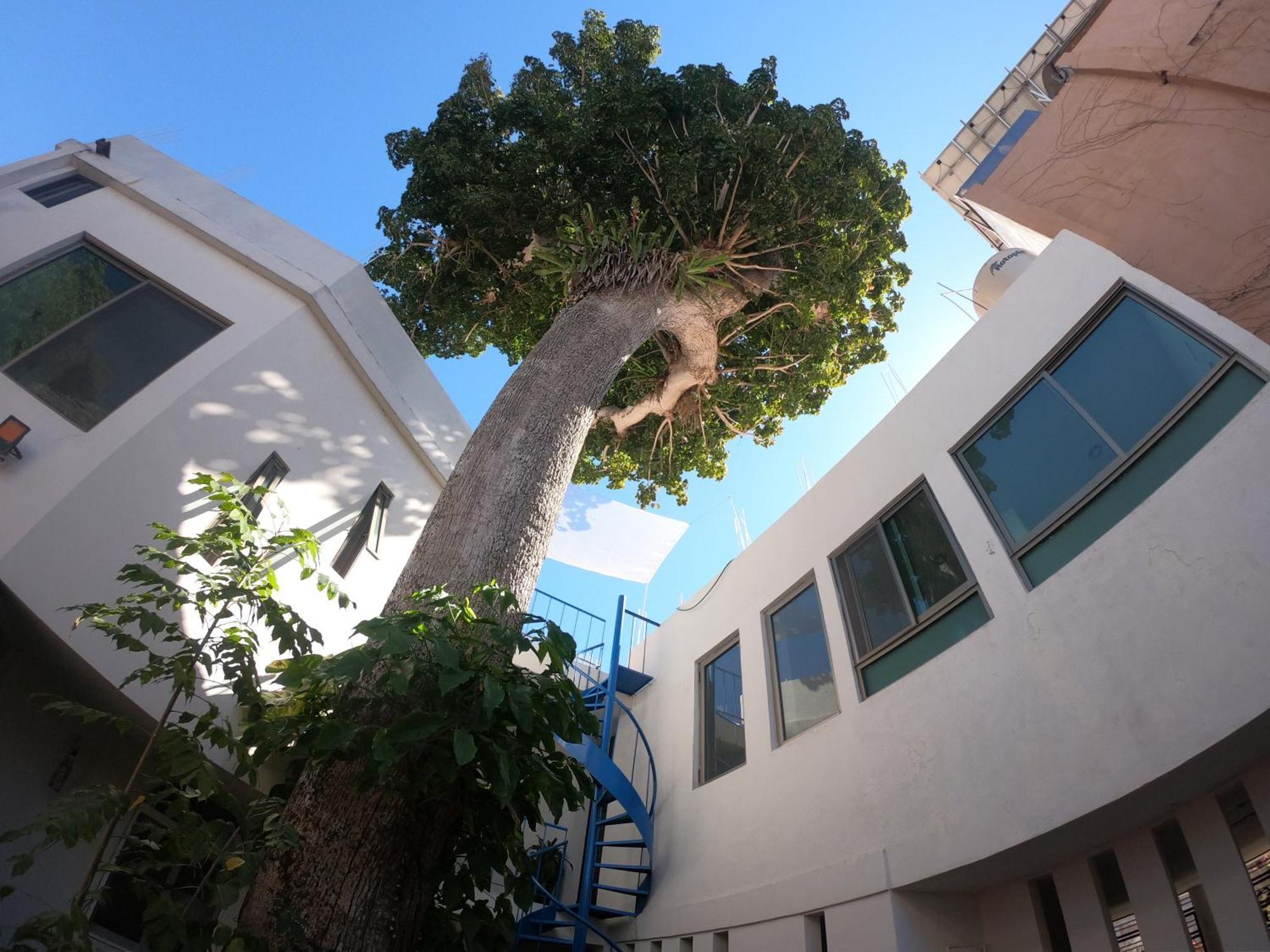 Casa Arbol De Paz Habitacion Doble Chacala  Exterior foto